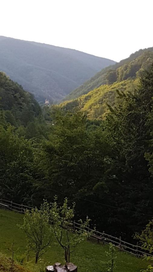 Pensiunea Valea Tonii Strungari Esterno foto