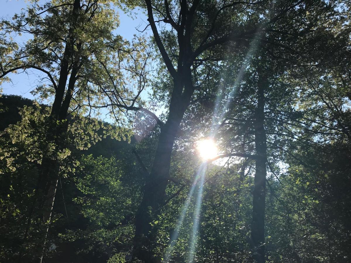 Pensiunea Valea Tonii Strungari Esterno foto