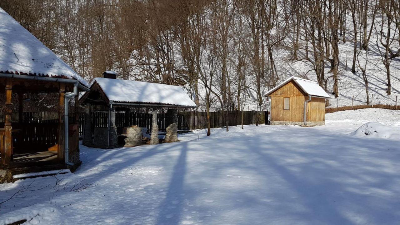 Pensiunea Valea Tonii Strungari Esterno foto