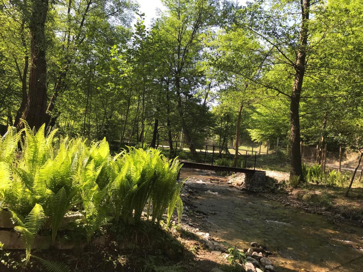 Pensiunea Valea Tonii Strungari Esterno foto