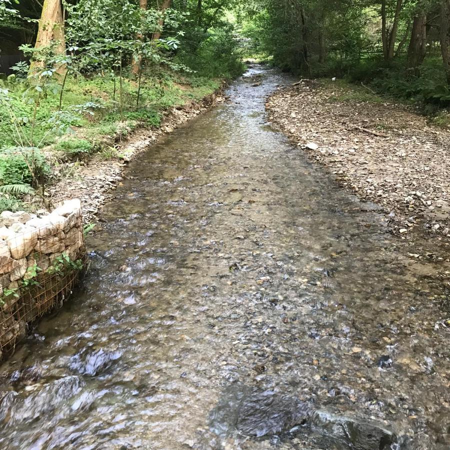 Pensiunea Valea Tonii Strungari Esterno foto