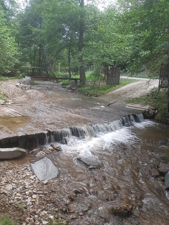 Pensiunea Valea Tonii Strungari Esterno foto